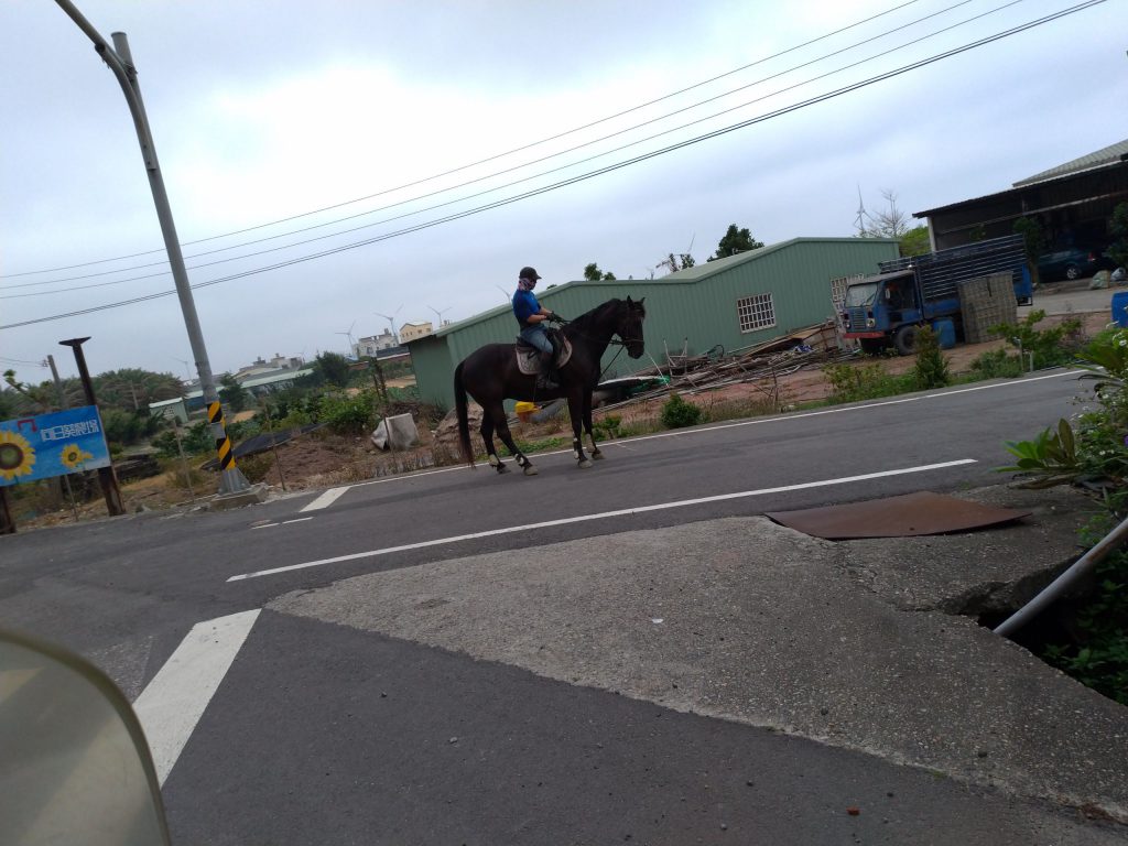 馬(車両)